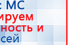 Пояс электрод купить в Кунгуре, Электроды Меркурий купить в Кунгуре, Скэнар официальный сайт - denasvertebra.ru
